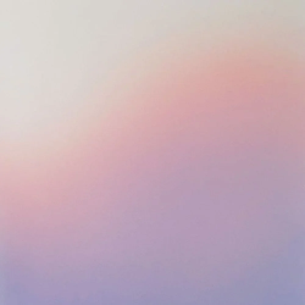PINK OMBRE Wild Sage Carissa Colorwash 10
